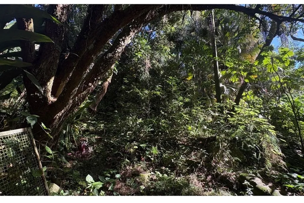 Imagem Terreno em Vila Nova