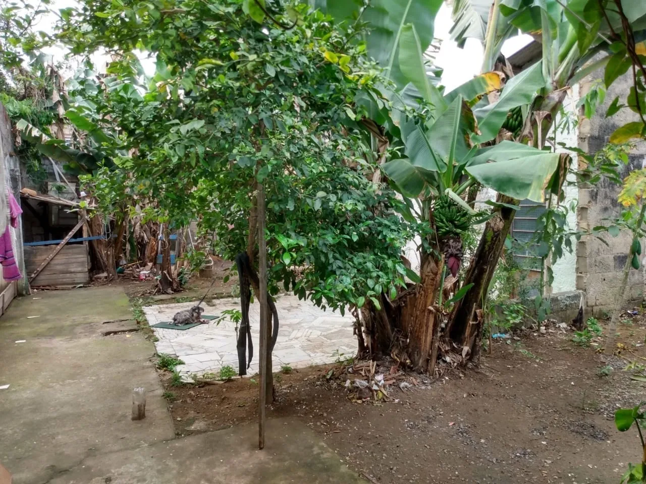 Imagem Casa à venda 2 Quartos, 2 Vagas, 250M², Conjunto Residencial Araretama, Pindamonhangaba - SP