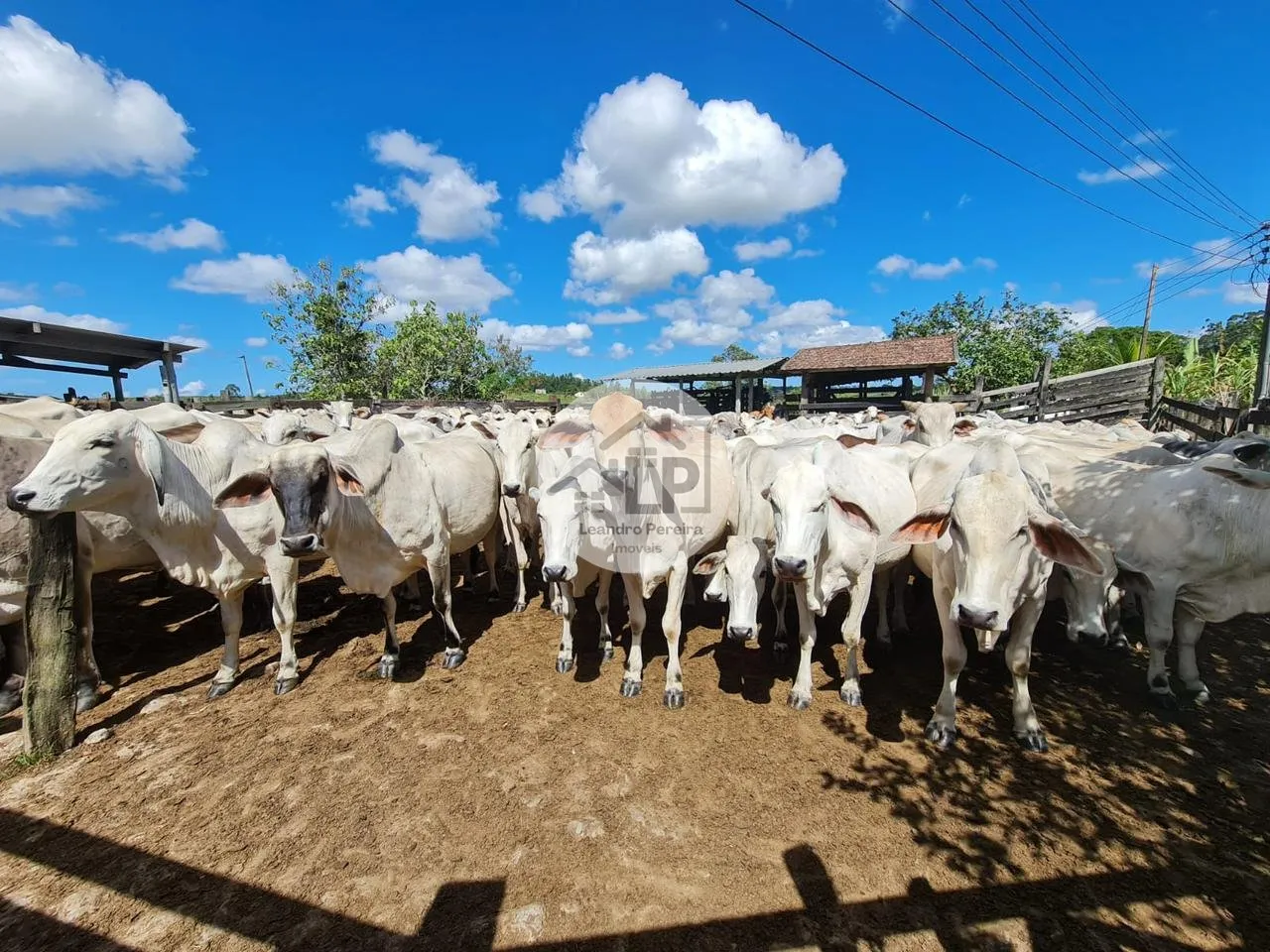 Imagem Fazenda/Sítios/Chácaras de 2300000m² no bairro Banqueiros, em Araruama