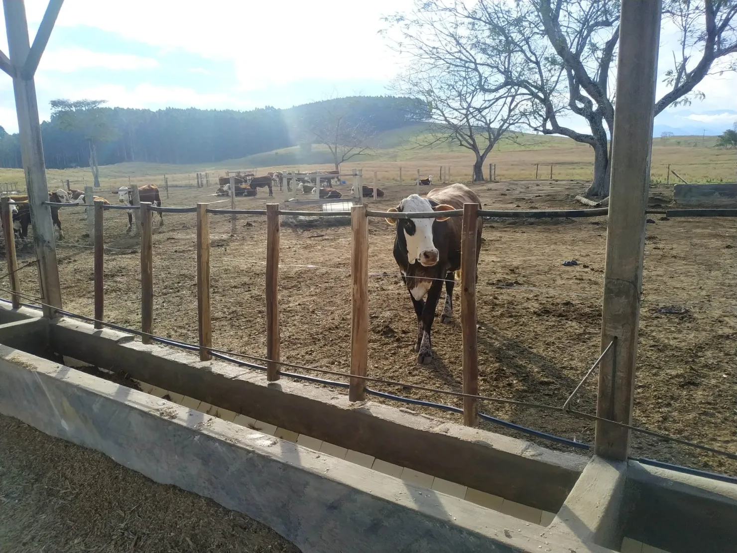 Imagem Chácara à venda 3 Quartos, 1 Suite, 4840000M², Zona Rural, Cachoeira Paulista - SP