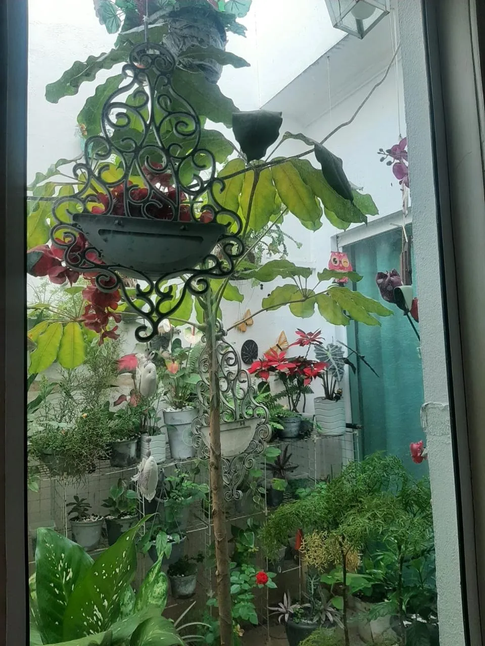 Imagem Linda Casa no Jardim Itália, Sorocaba - 3 Quartos, Suíte, Amplo Quintal e Área Gourmet