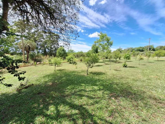 Imagem OPORTUNIDADE!!! Sítio 7.500m², Casa de madeira, Galpão, Pomar, Morro Grande