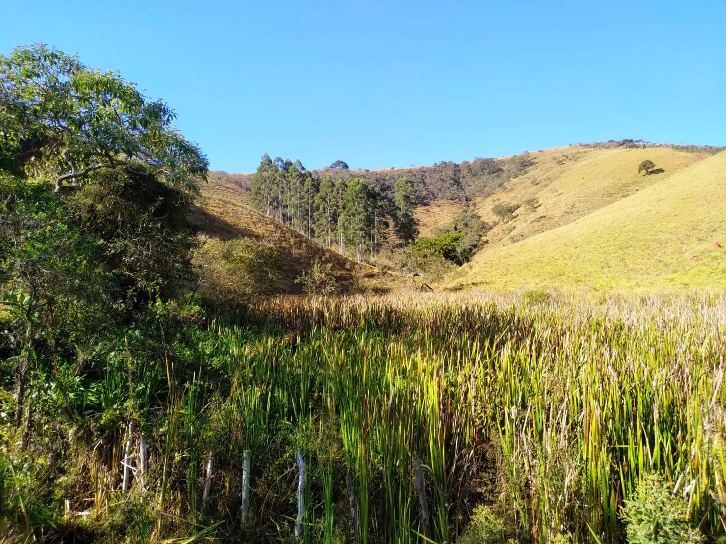 Imagem Chácara à venda 3 Quartos, 36000M², Zona Rural, Cunha - SP