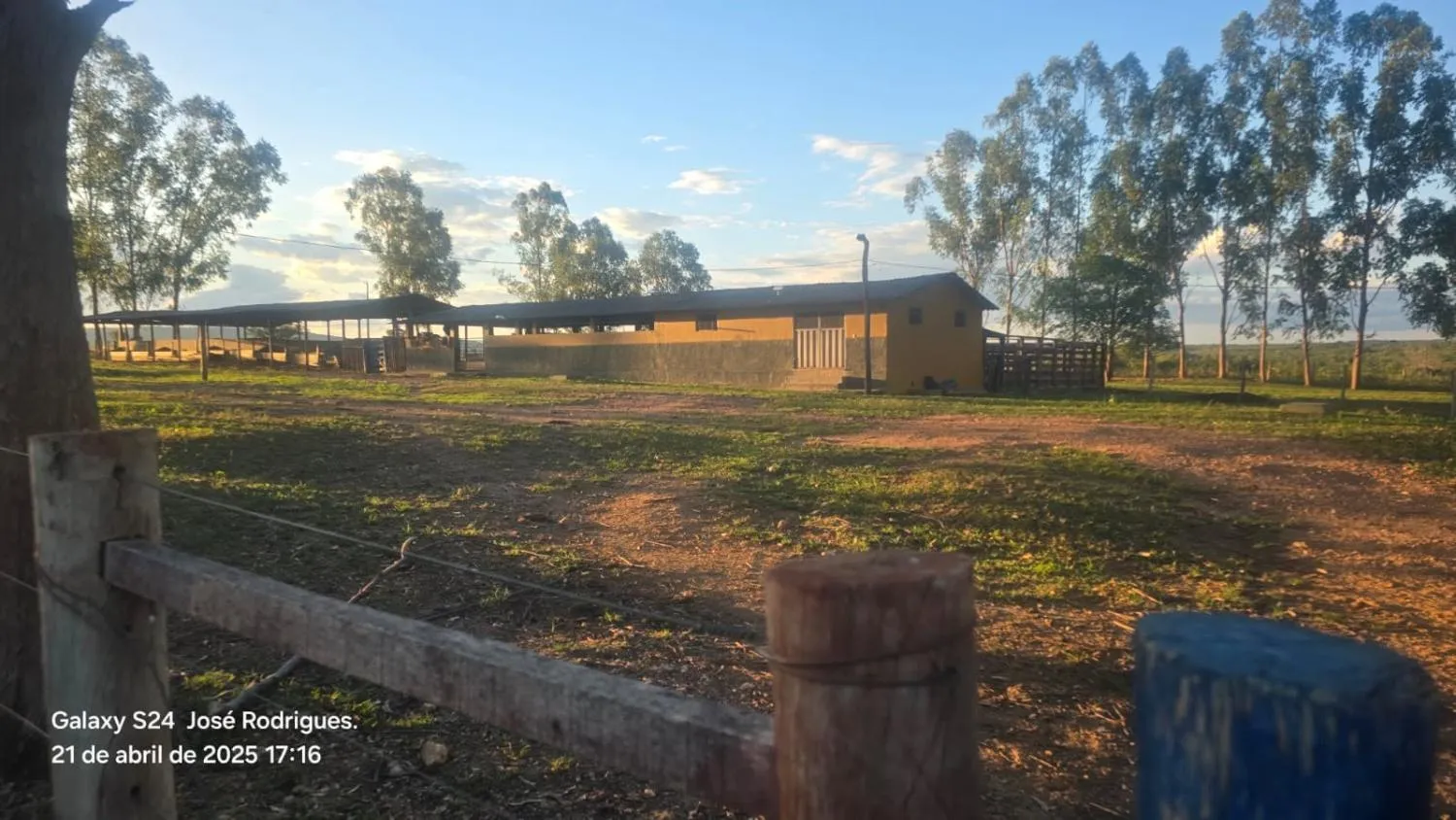 Imagem FAZENDA À VENDA ? PORTEIRA FECHADA / BUENÓPOLIS/MG área total de 223 hectares