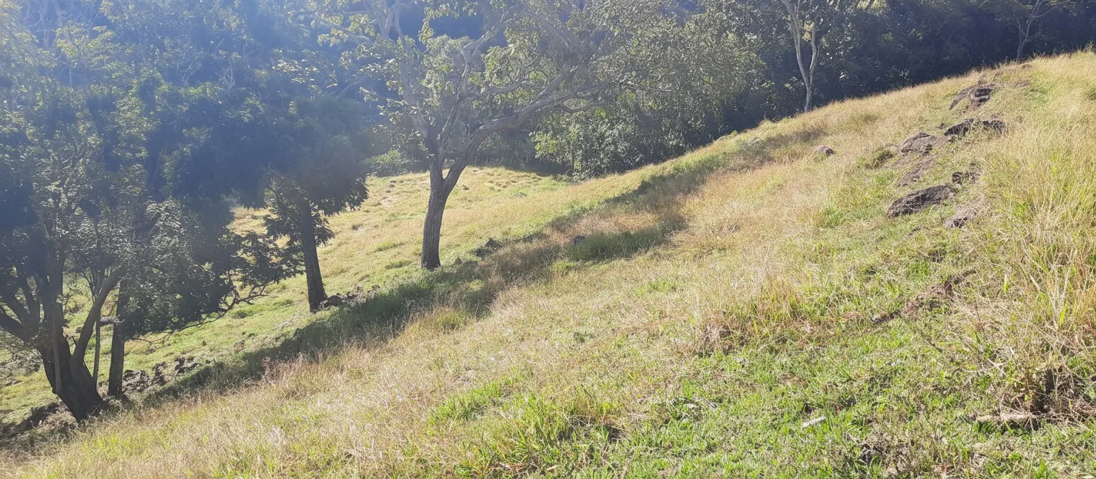 Imagem Sítio à venda em Córrego das Foices, Bandeira do Sul