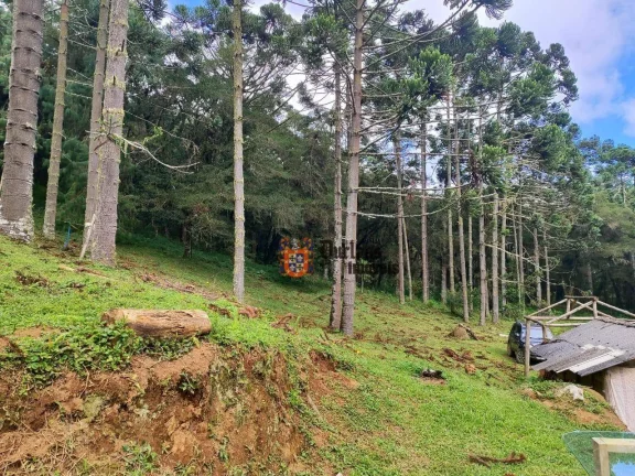 Imagem Sítio à venda, 60500 m² por R$ 905.000 - Bom Jardim - Camanducaia/MG