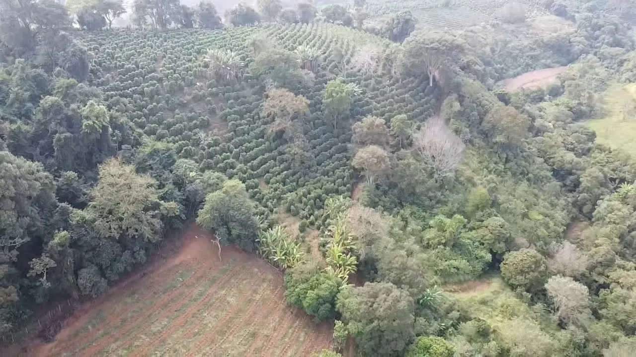 Imagem Sítio 3,63 ha à venda em Primos, Campestre