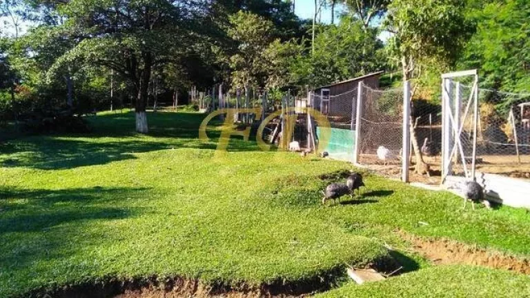 Imagem Sitio em Vargem-SP divisa com Extrema - MG
