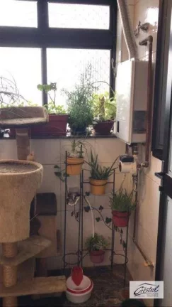 Imagem Cobertura à venda, 284 m² por R$ 2.220.000,00 - Alto da Lapa - São Paulo/SP