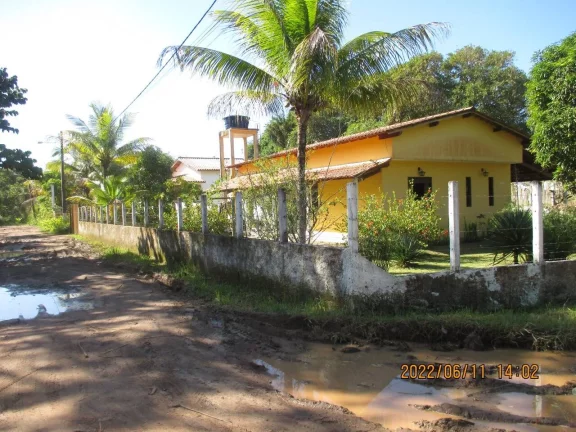 Imagem Yellow House Algodões
