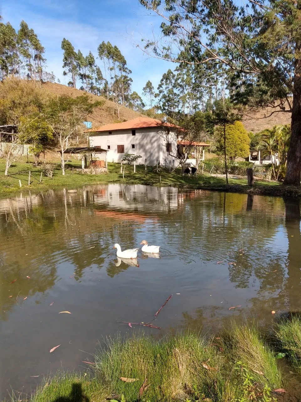 Imagem Chácara à venda 5 Quartos, 1 Suite, 10 Vagas, 24000M², Zona Rural, São Luiz do Paraitinga - SP