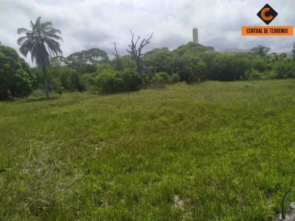 Imagem TERRENO EM ABRANTES