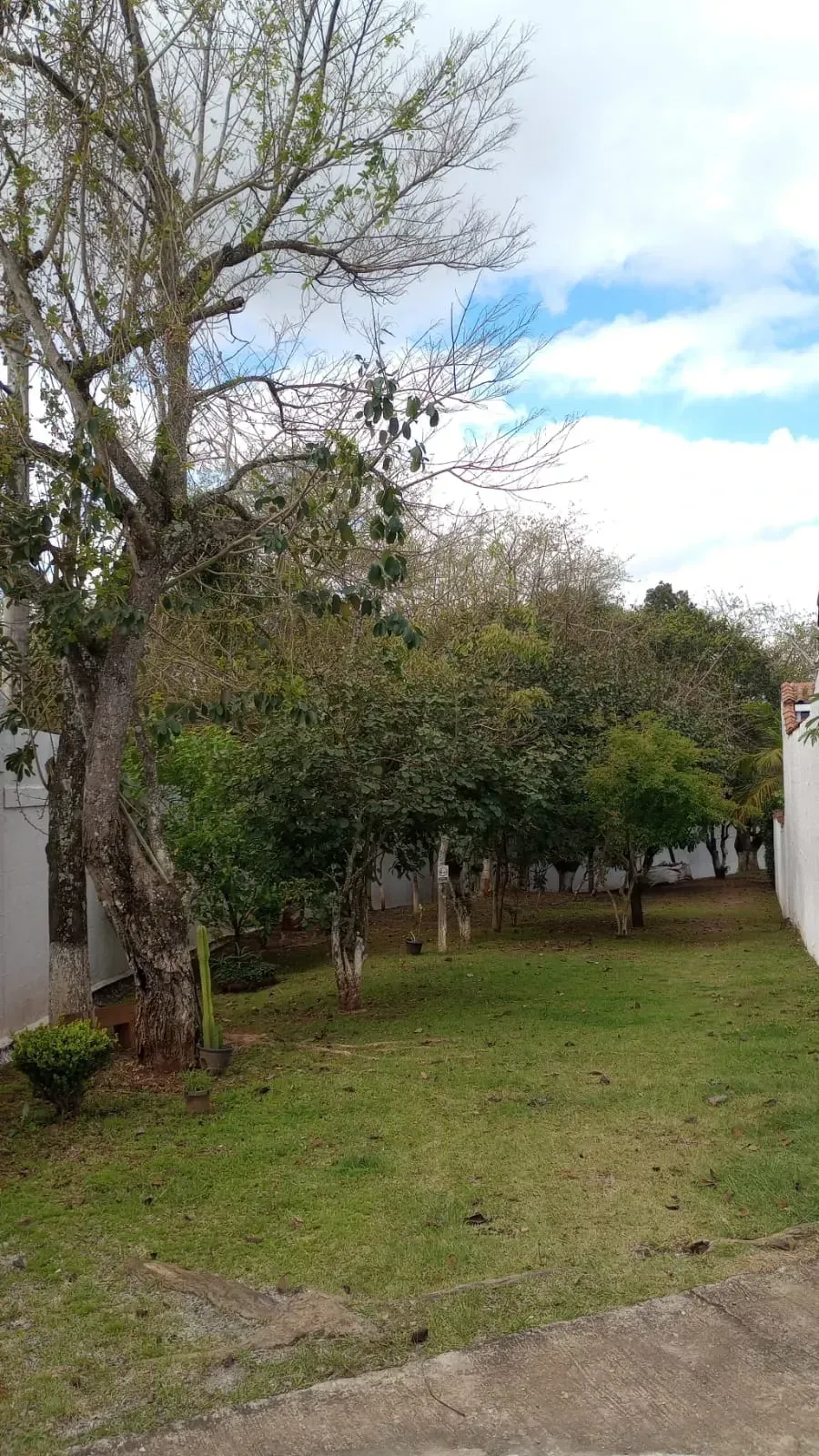Imagem Casa de Condomínio com 3 Quartos à Venda, 70 m² em Tijuco Preto(Caucaia do Alto) - Cotia