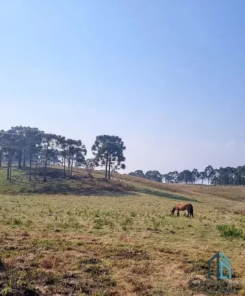 Imagem Sítio/Chácara a venda com 33 hectares bem localizado no interior de São Joaquim - SC
