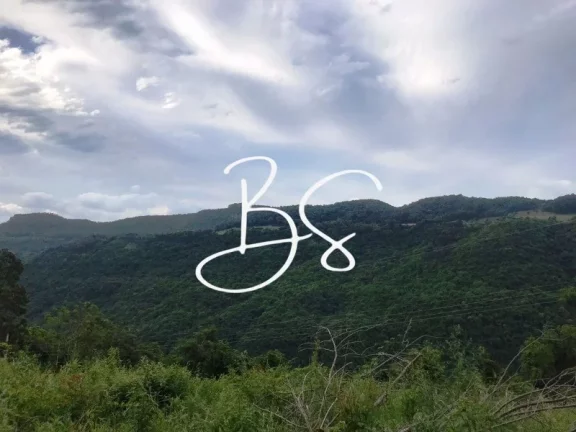 Imagem SITIO RURAL em NOVA PETRÓPOLIS - RS, Linha Pirajá Baixa