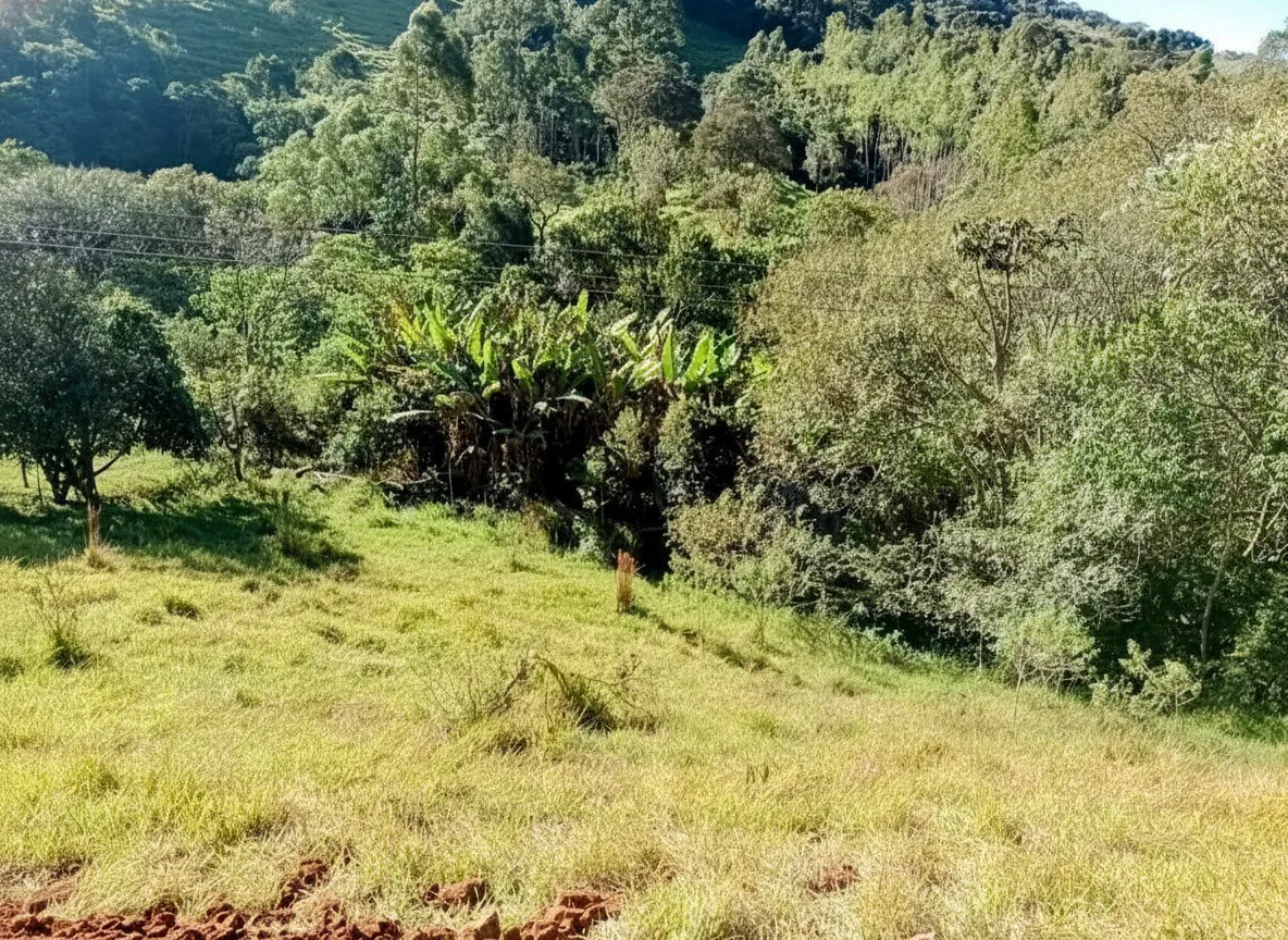 Imagem Chácara à venda em Campininhas, Caldas