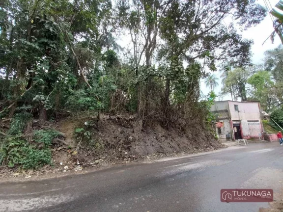 Imagem Terreno à venda, 9000 m² por R$ 8.000.000,00 - Três Cruzes - São Paulo/SP
