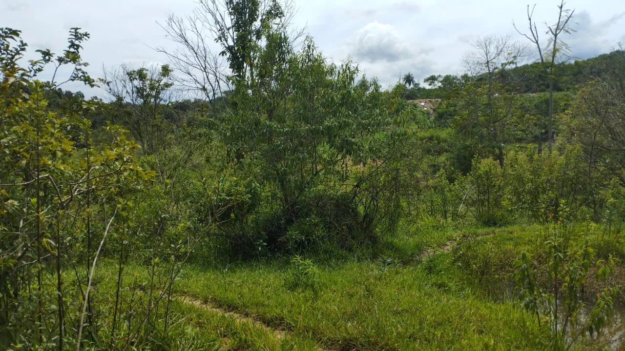 Imagem Terreno à venda em Betim/MG com 25.000 m² valor R$ 650.000,00