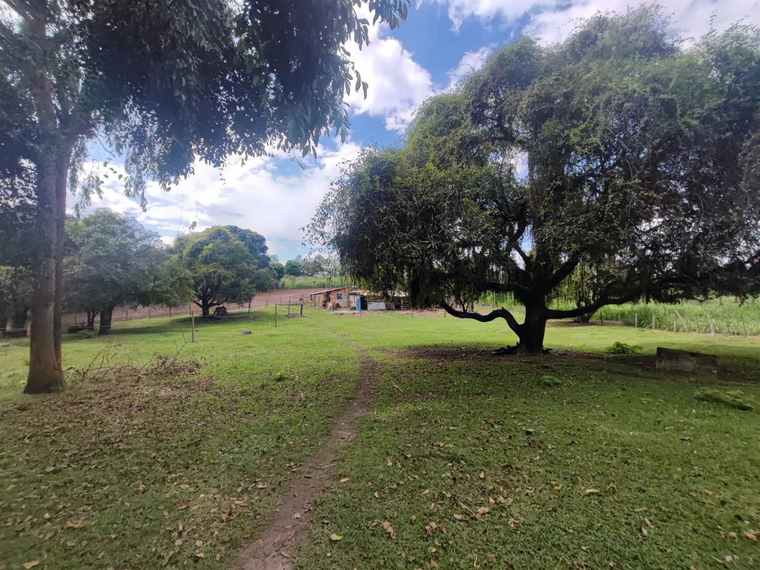 Imagem Chácara à venda 2 Quartos, 37000M², Figueira, Guaratinguetá - SP