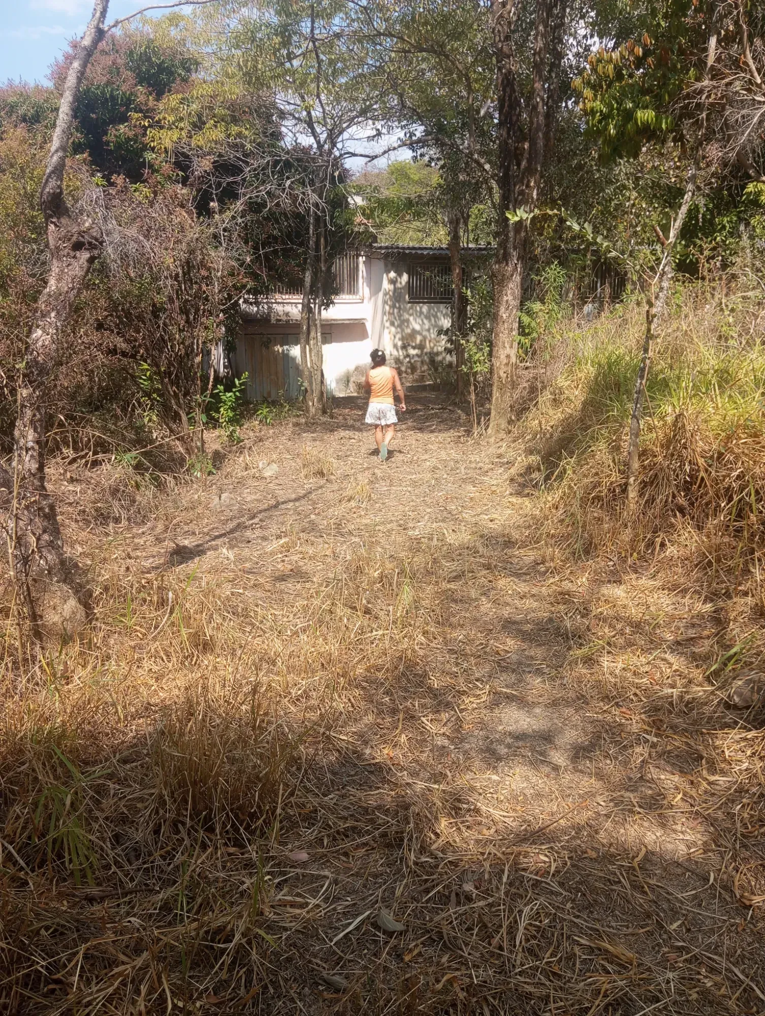 Imagem Chácara com 3 Quartos à Venda, 5.000 m² em Ravena - Sabará