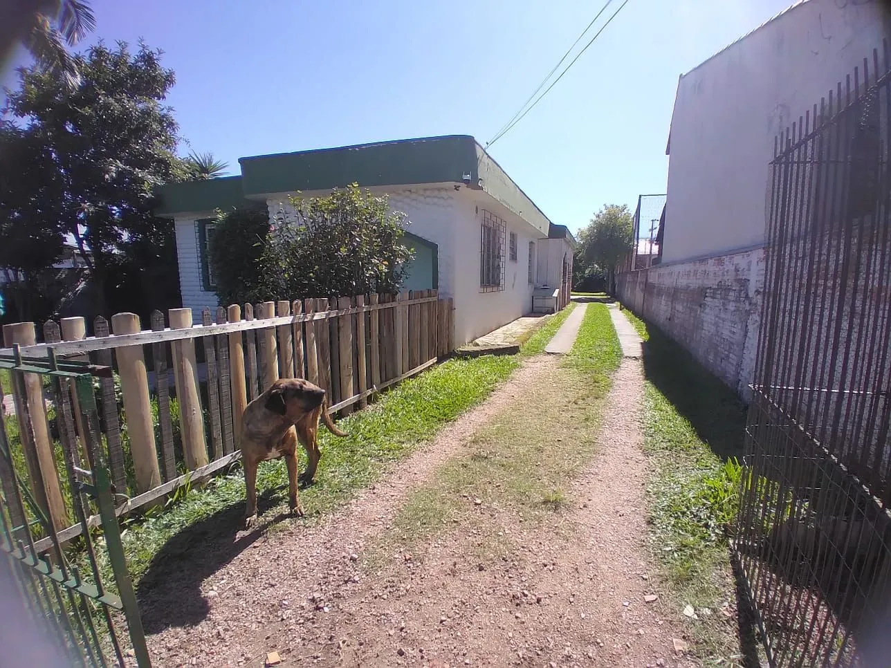 Imagem Excelente Terreno à Venda na Avenida Edgar Pires de Castro - Localização Imbatível!