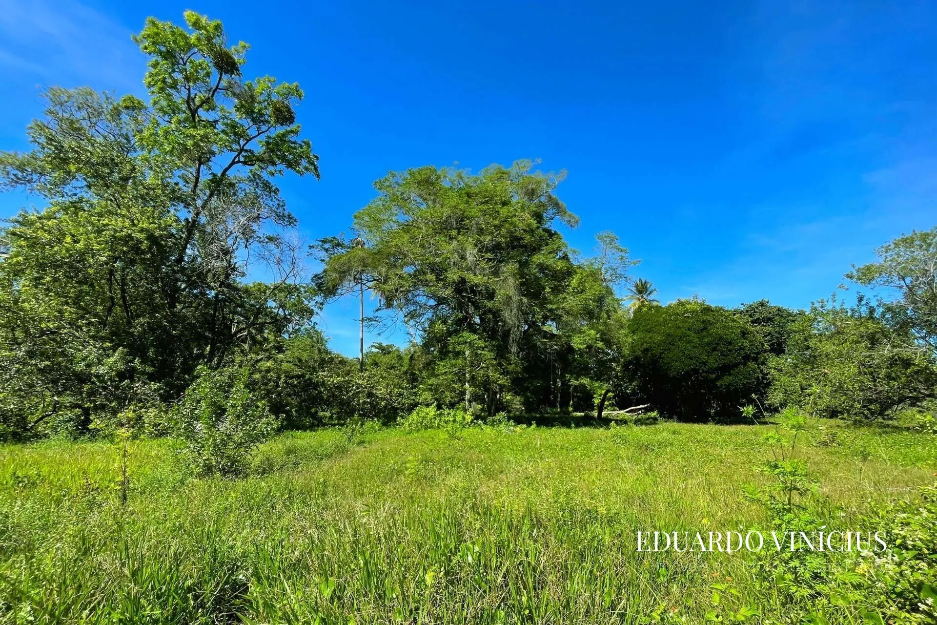 Imagem Terreno 4.020 m² à Venda na Praia do Encanto em Morro de São Paulo