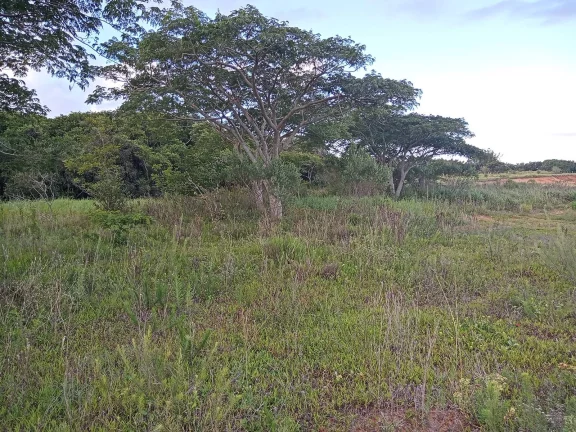 Imagem INVESTIDORES !!! - Excelente área de 2 Hectares, em Águas Claras, Viamão