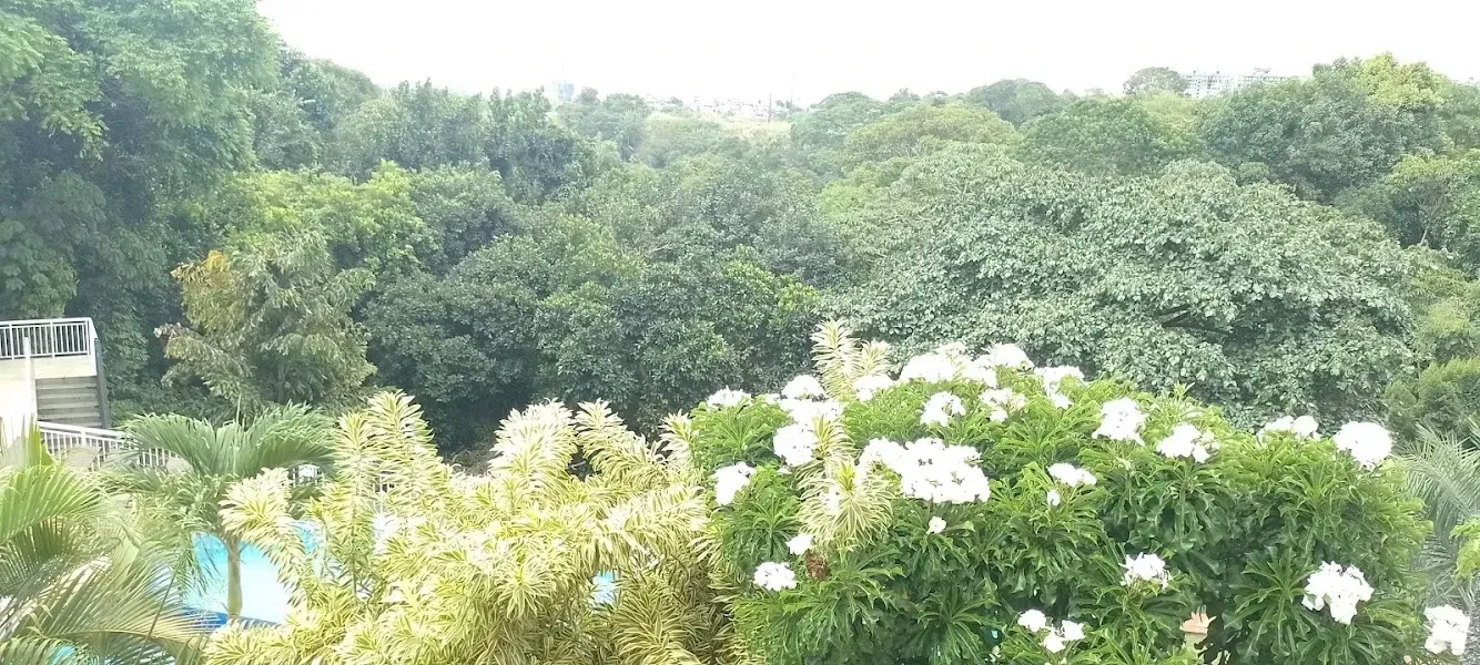 Imagem Apartamento com 2 Quartos à Venda, 47 m² em Nova Brasília - Salvador