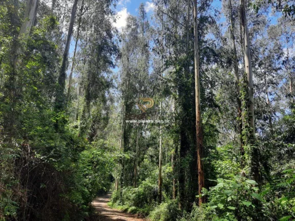 Imagem Área Agrícola para Venda em Concórdia, Interior
