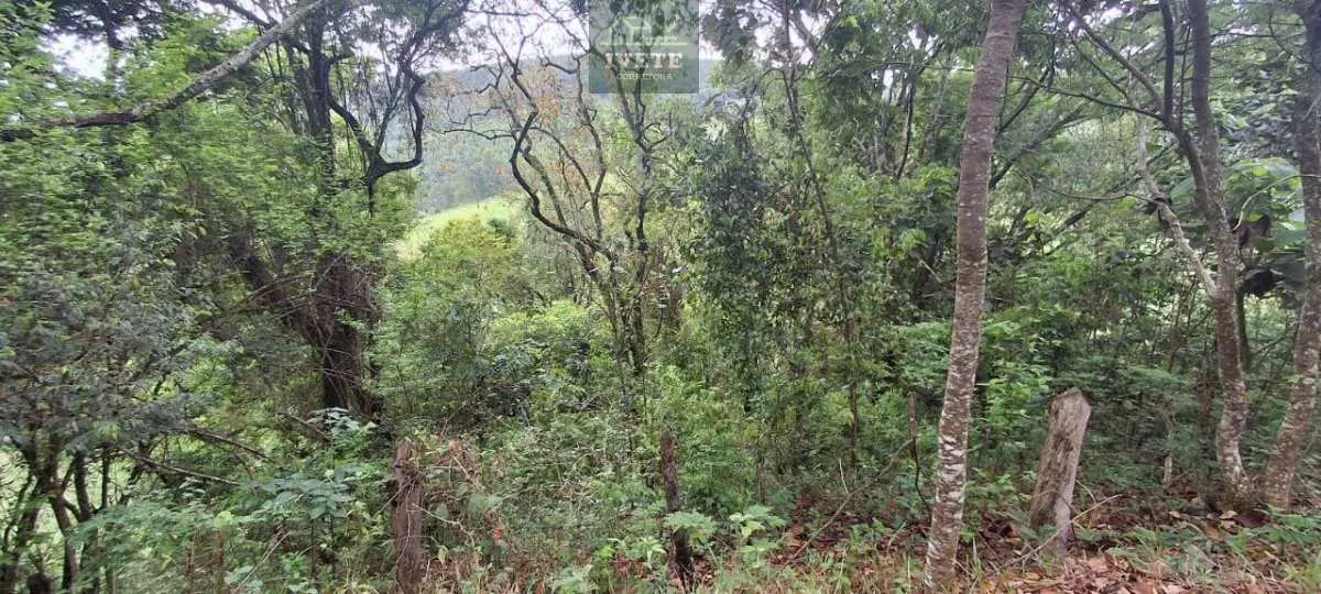 Imagem Ampla Área à Venda no Bairro da Lagoa - Socorro/SP