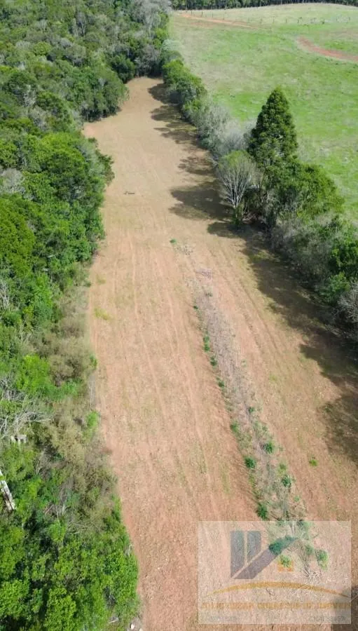 Imagem Chácara para Venda em São José dos Pinhais, Contenda