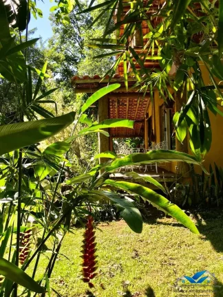 Imagem Lindo sitio com 2 casas meio a natureza - Paraty - com rio passando pelo terreno