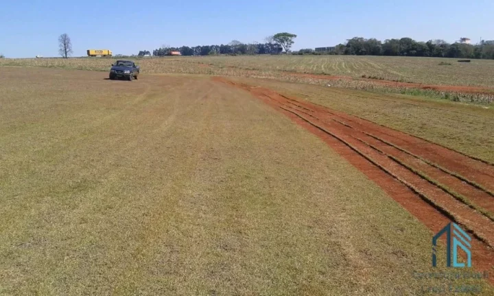 Imagem Terreno 92mil m², entre a Cidade de Rolândia e Arapongas, Rodovia 986 km 8 contorno sul de Rolândia PR