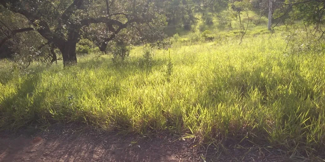 Imagem Terreno de 1.023 m² à venda em Salto de Pirapora, no Loteamento Arco Íris, ideal para chácara e casa de lazer.