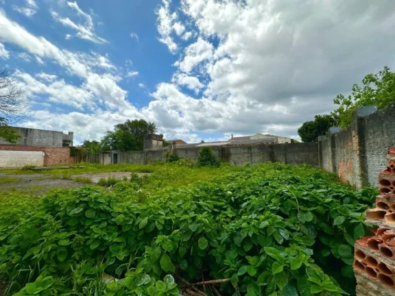 Imagem Terreno/Lote Comercial para venda no bairro Harmonia em Canoas