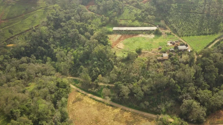 Imagem Área Agrícola para Venda em Arabuta, Rural