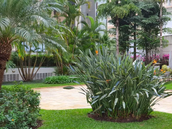 Imagem Apartamento com 3 Quartos à Venda, 106 m² em Itaim Bibi - São Paulo