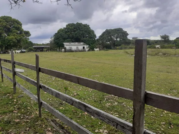 Imagem Fazenda à Venda,  em zona rural - Salvaterra