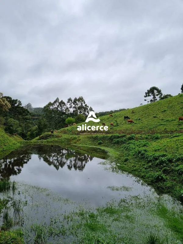 Imagem Terreno à venda com , 30.000m² em Vargedo Rancho Queimado