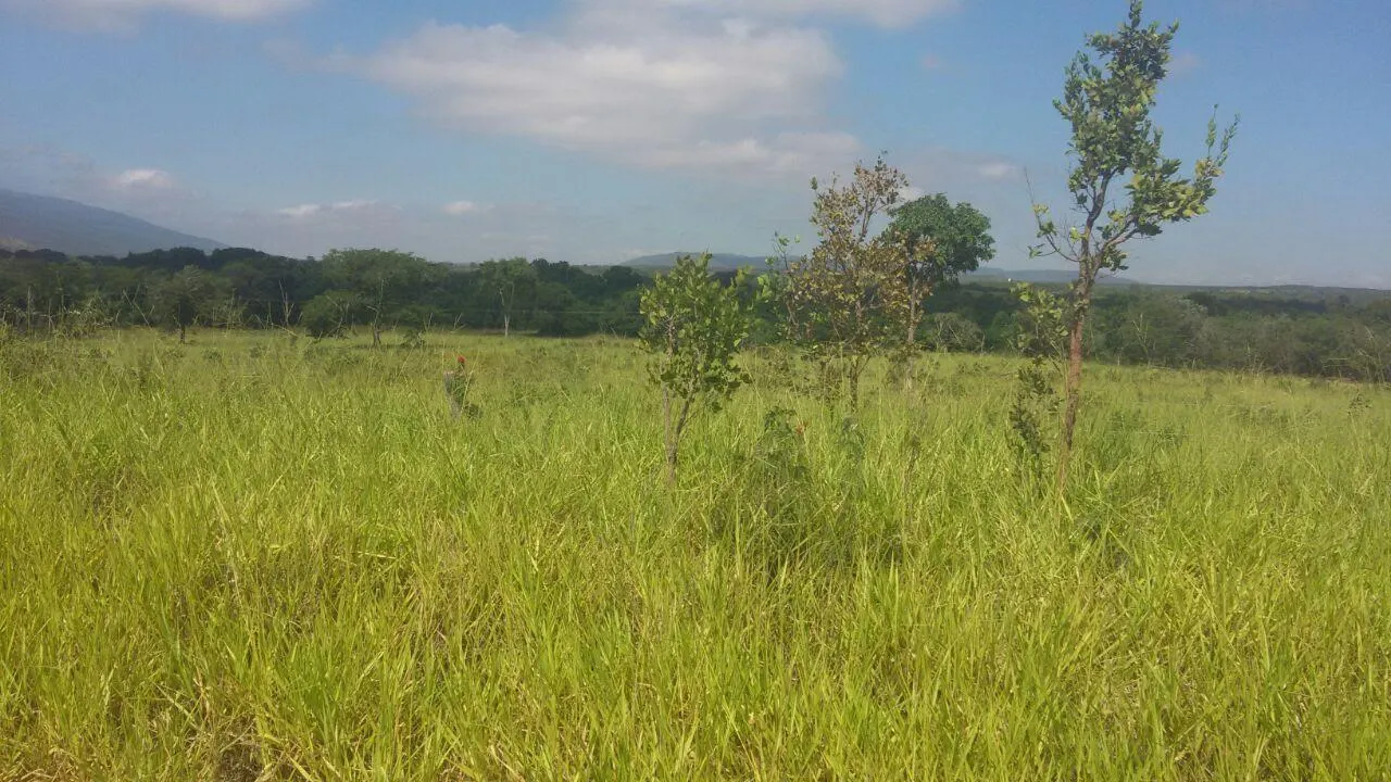 Imagem Oportunidade Imperdível: Fazenda de 1.272 Hectares em Augusto de Lima