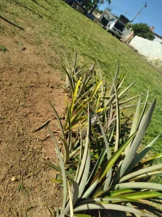 Imagem Terreno à venda, 500 m² por R$ 248.000 - Recreio Costa Verde - Itatiba/SP
