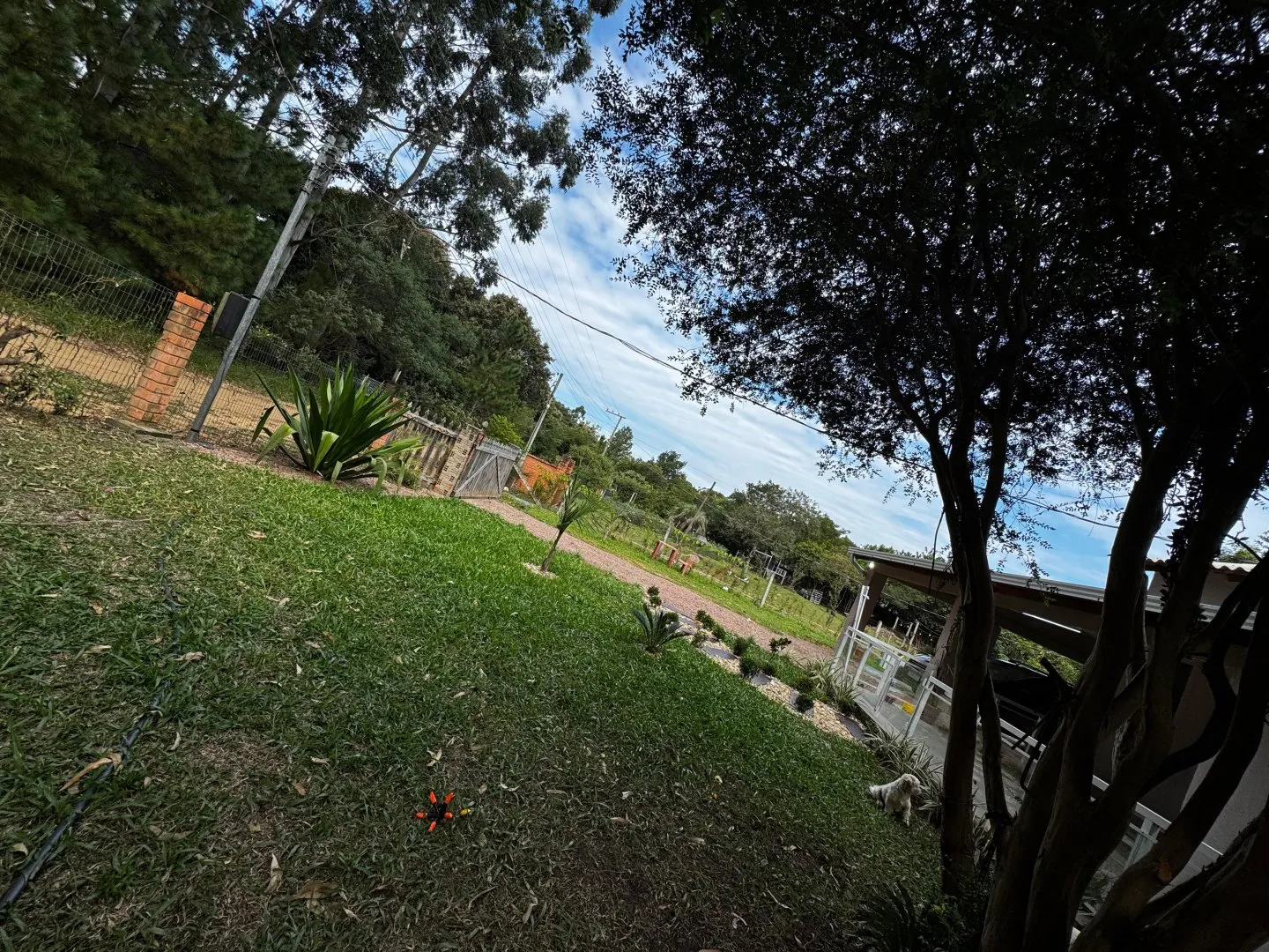Imagem Sítio com Piscina em Águas Claras, Viamão - Oportunidade de Venda!