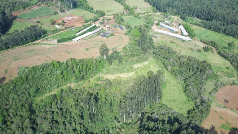 Imagem Granja para Venda em Lindóia do Sul, Interior