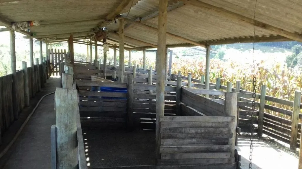 Imagem Chácara à venda 3 Quartos, 1 Suite, 1 Vaga, 96000M², Rio a cima, Guaratinguetá - SP