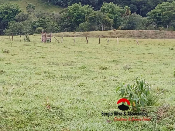 Imagem Chácaras a Venda na Região de Wenceslau Braz - MG.