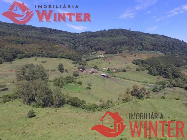 Imagem Fazenda de 61 hectares na cidade de Linha Nova.
