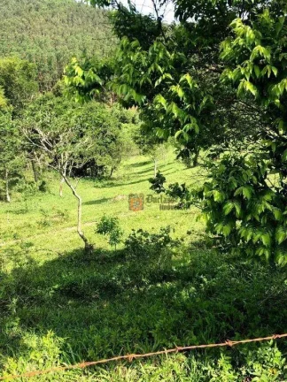 Imagem Fazenda à venda, 2178000 m² por R$ 11.600.000 - Jambeiro - Jambeiro/SP