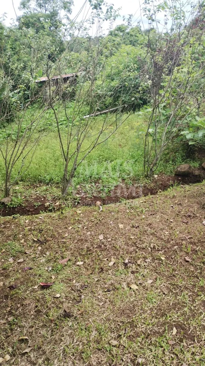 Imagem Chácara para venda em Santo Antônio da Patrulha Roça Grande