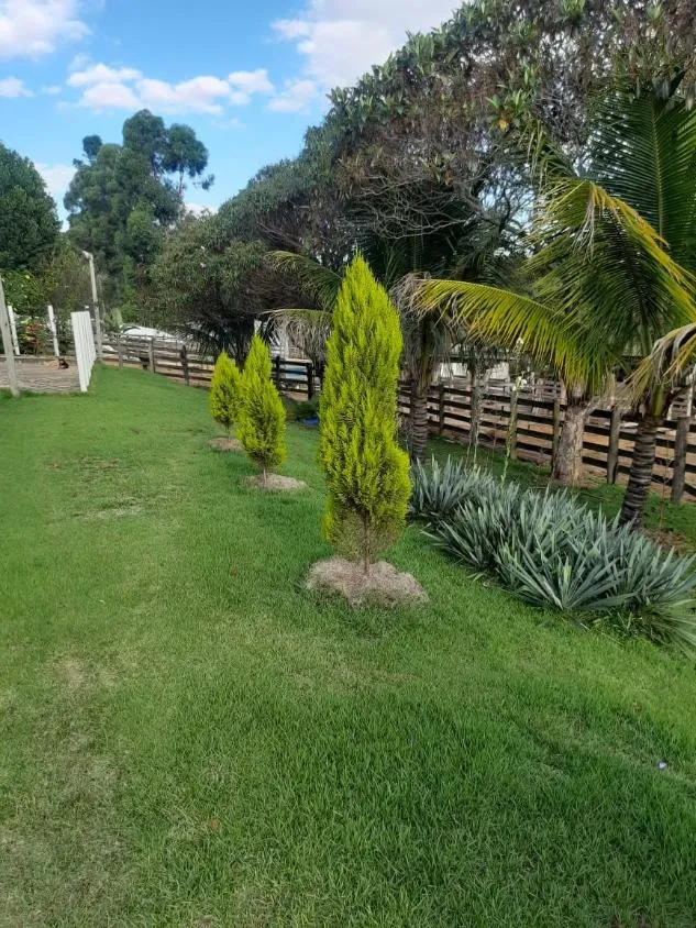 Imagem Vendo uma fazendinha espetacular em Carmópolis de Minas/MG 35 hectares