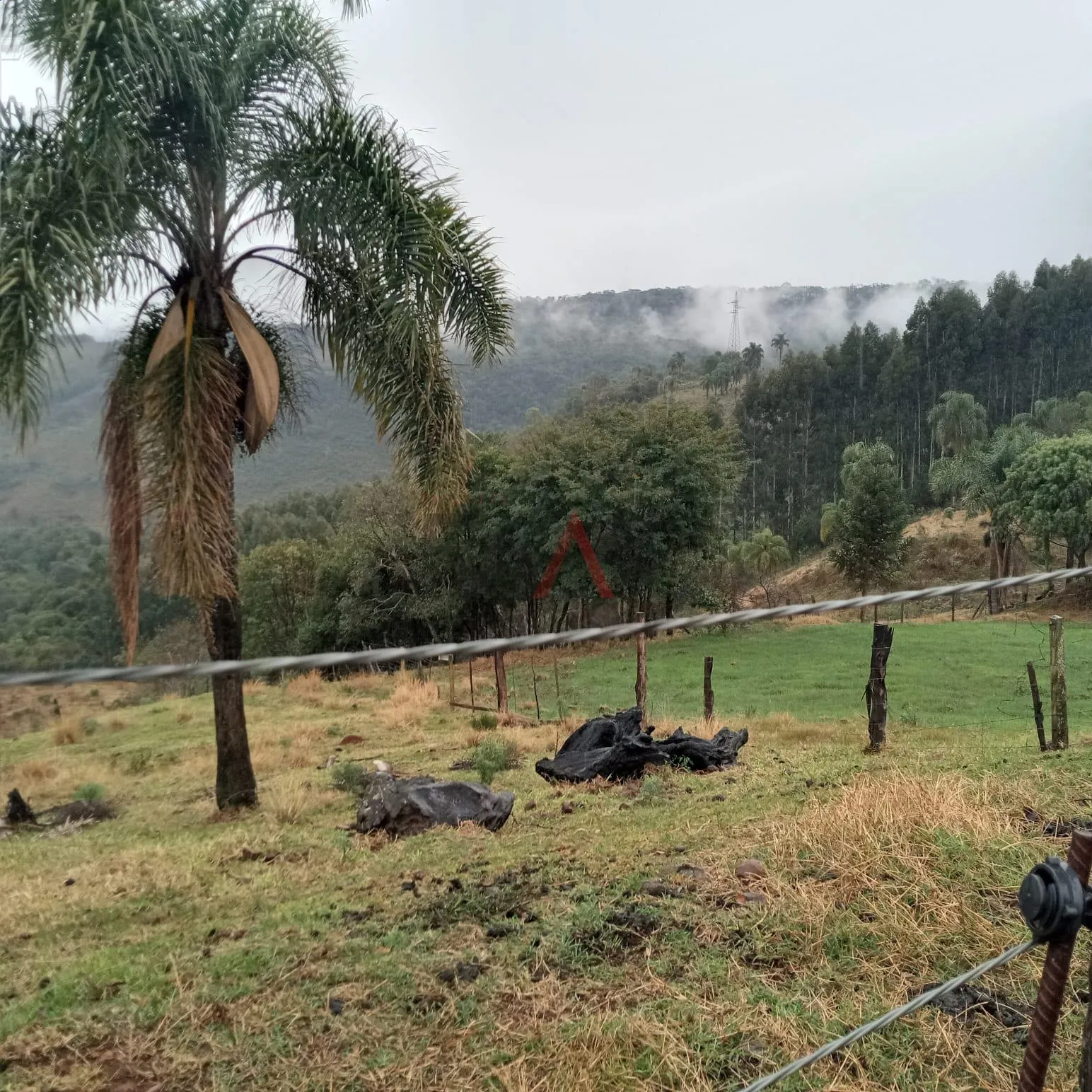 Imagem Chácara, JORDÃO, GUARAPUAVA - PR